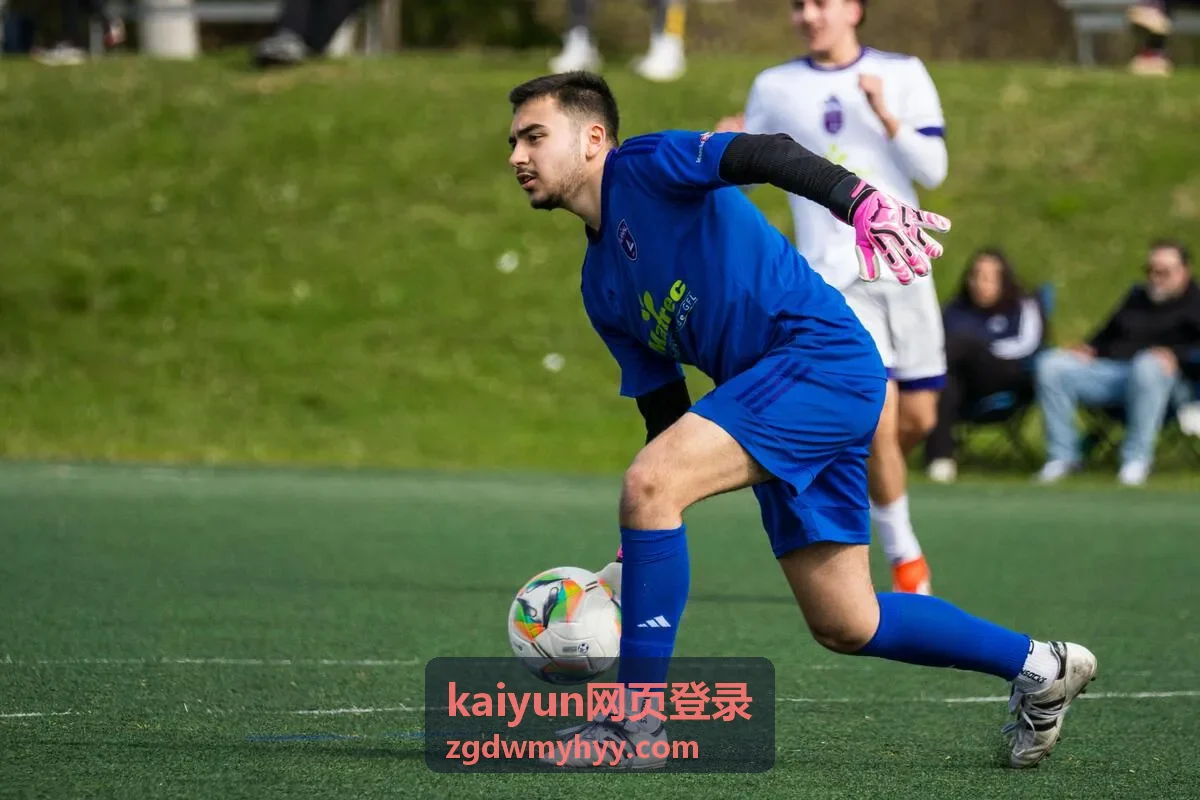 kaiyun网页登录网页端入口界面示意