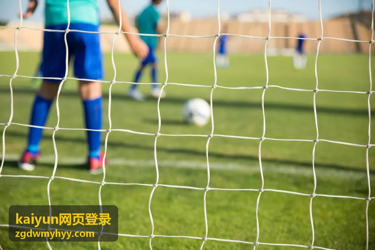 kaiyun网页登录入口地址核对示意